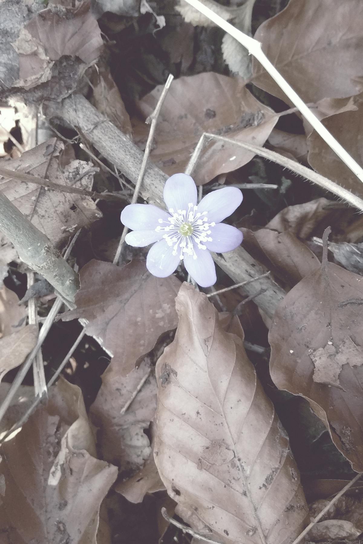 Équipe de collaborateurs soudés autour d'un projet commun