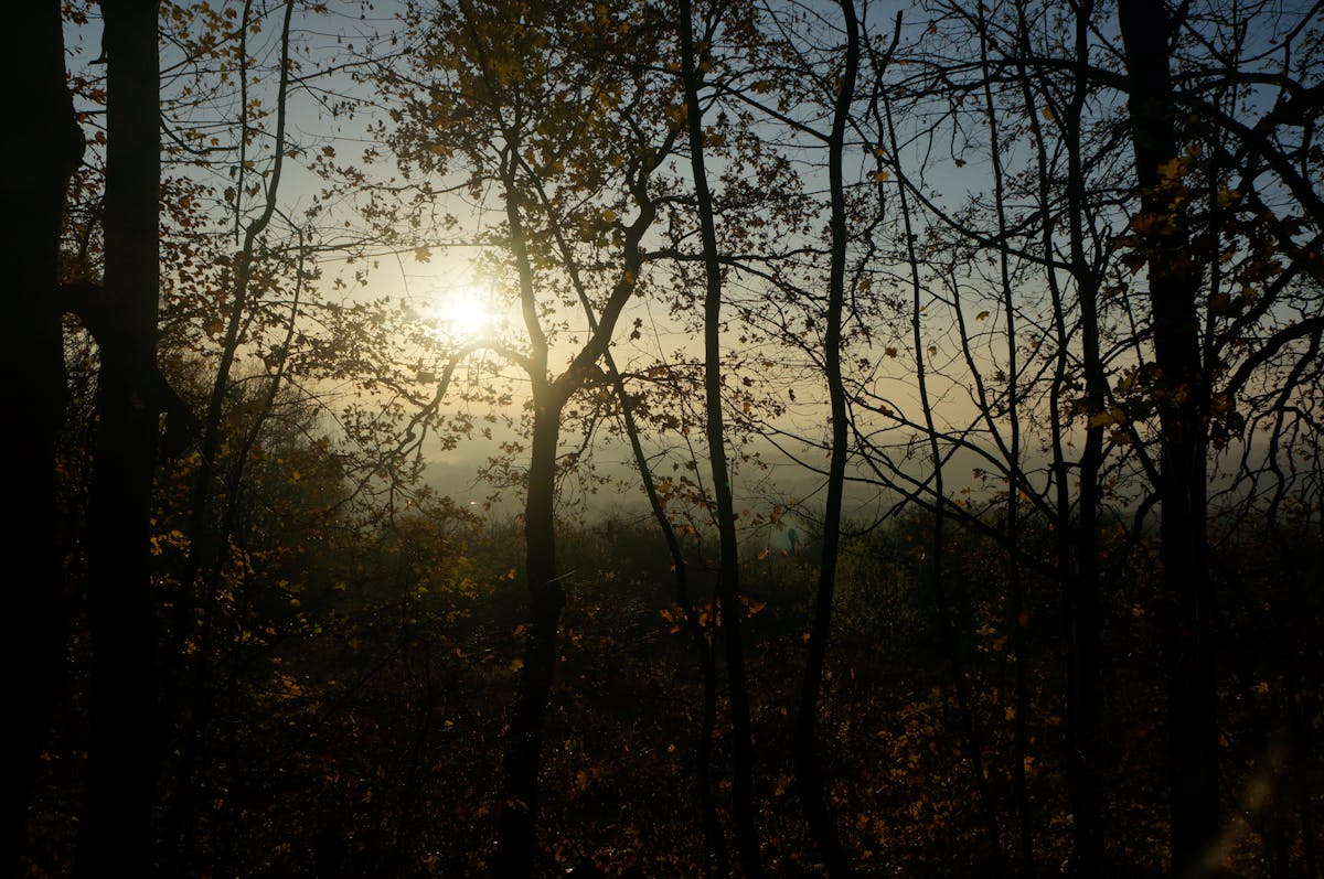 Table ronde de négociation entre syndicats et direction