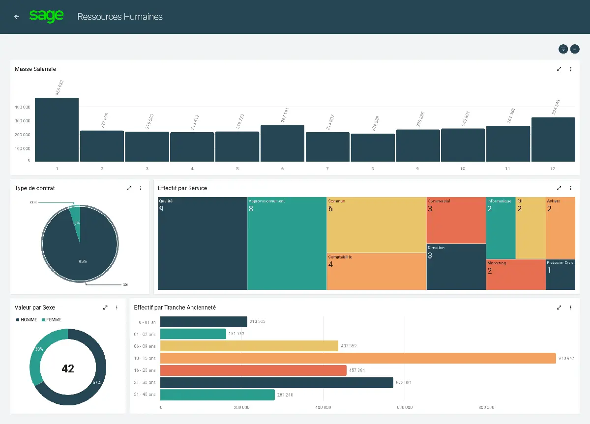 Capture d'écran du dashboard Sage Business Cloud Paie pour la visualisation des données RH